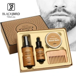 Personal Care Products OEM ODM Organic Castor Oil Beard Grooming Kit for Men