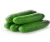 Import Philippines exported Fresh Cucumber from Philippines