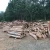 Import PINE WOOD LOG FOR MAKING PALLET OR CONSTRUCTION CUTTING FROM ORIGINAL FOREST from Vietnam