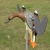 Import Plastic motorized duck hunting electronic decoy with wings from China