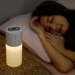 Portable Home Aroma Diffuser Usb in-car Charger Ultrasonic Mist Led Light Humidifier