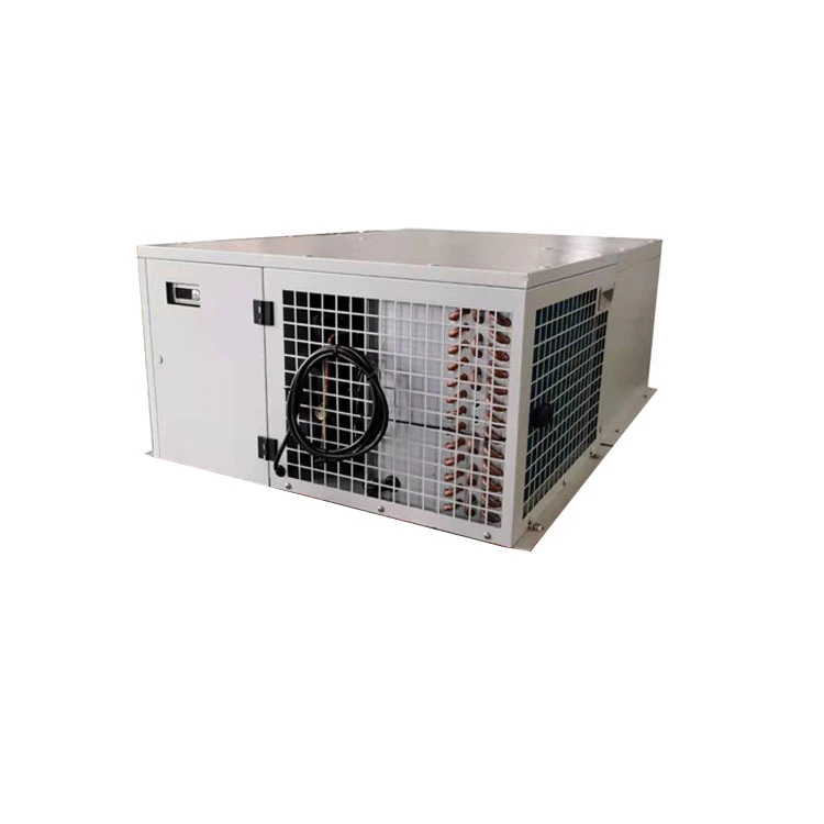 Power efficient monoblock freezer condensing unit compressor