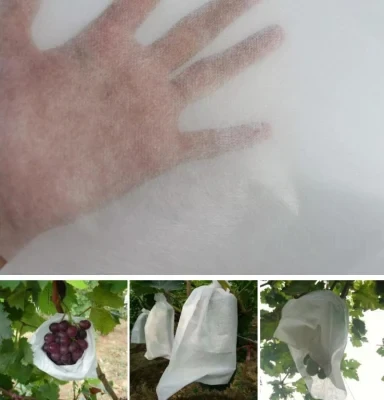 PP Nonwoven Fabric for Vegetable in Greenhouse