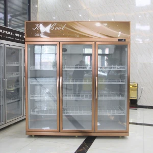 Professional supply of high-quality commercial refrigerator freezer standing glass door freezer standing freezer lowest price