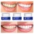 Import Professional teeth whitening private label teeth whitener charcoal teeth powder from China