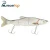 Import Promotion Handmade Dace Swimbait Five-stages sinking plastic fishing lure from China