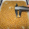 Promotional top quality canned chick baked peas