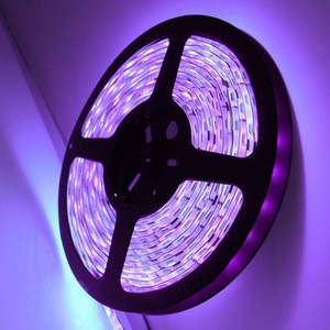 Purple UV 12v 24v Purple Led Light Strip 254nm 360nm 365nm 455nm UV Led Stripes 5050 Smd
