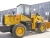 Import Qingzhou ZL20F snow blower loader ,loader auction from China
