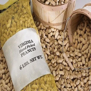 Quality Blanched peanut kernels raw peanuts