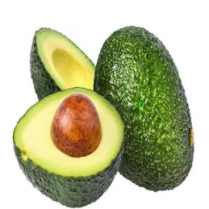 Quality Fresh Haas Avocado - Buy Haas Avocado,Fresh Avocado