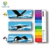 Quality Products Customized 3D PP PET Lenticular Plastic Straight Ruler With Logo