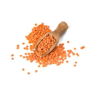 Quality Split Red Lentils Available Red Lentils With Reasonable Price and Fast Deliver/Red Split  Lentils