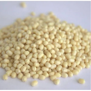 Quality White Sorghum for sale