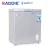 Import RAGGIE Comercial Solar DC 12V 116L Deep Freezer from China
