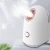 Import Raiposa Facial Steamer Nano Ionic Face Steamer Facial Steamer for Home Facial Sauna Spa Moisturizing Cleansing Pores Blackheads from China