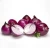 Import Red / purple fresh onion manufacturer from China from China
