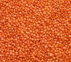 Red/Green/Brown/Yellow Lentils Beans