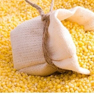 russian yellow millet