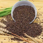 Rye