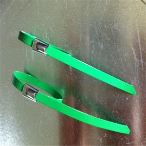 Self-Locking Type Heavy-duty Security Plastic Covered Stainless Steel Cable Ties 316