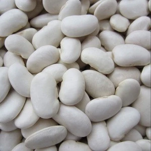 Selling High Quality Dry, Frozen Lima Beans in Low Prices