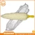 Import Set of 6 - Large Plastic Corn on the Cob Dish / Plate with Holders / Skewers from China
