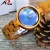 Import Simple Plate All Wood Women Watch Analog Quartz Full Wooden Band Ladies Elegant Fashion Clock Hour Girls Unique Wristwatch from China