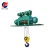 Import Small Construction Crane Single Double Girder Wire Rope Electric Hoist from China