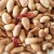 Import Snacks roasted blanched salted peanuts wholesale retail factory export from China