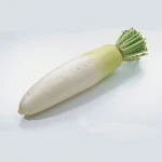 SOUTH AFRICA FRESH WHITE RADISH