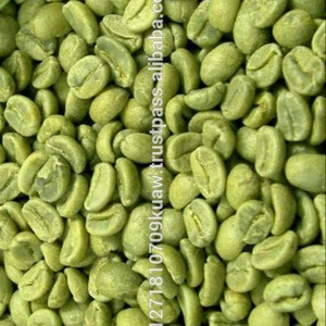 special green arabica coffee beans / best grade arabica coffee beans