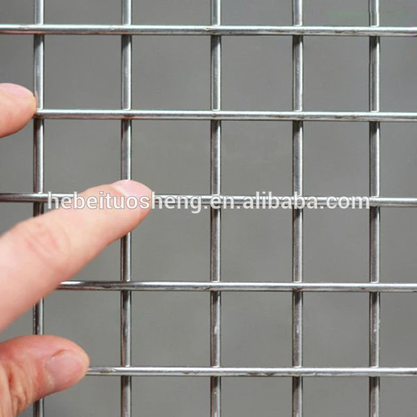 Stainless steel welded wire mesh/welded stainless steel wire mesh