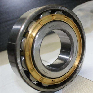 super precision cylindrical roller bearings N1014-K-M1-SP