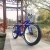 Import tandem beach cruiser bike 350 watt electric 26 inch 4.0 fat tire bicycle bike from China