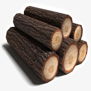 Timber and Oak Wood Logs