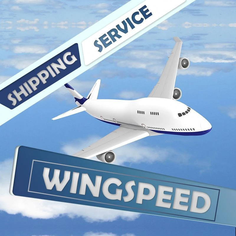 top china forwarding agent best sea shipping cost china to europe switzerland germany  skype:bonmedcerline