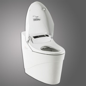 Top Quality Constant Warm Water Cleaning Intelligent Toilet ZJS-03