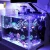 Import Touch Dimmable 30W LED Aquarium Light for Coral Reef Tank lighting fish light saltwater tank lights from China
