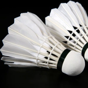 training badminton shuttle at cheap price