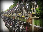 Two Tier Bicycle Rack (Good Quality and Many optionals to provide).