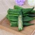 Import VF Okra Crispy (Vegetable Snack) from China
