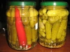 Vietnam Pickled cucumber/gherkin is one of the best selling canned vegetables