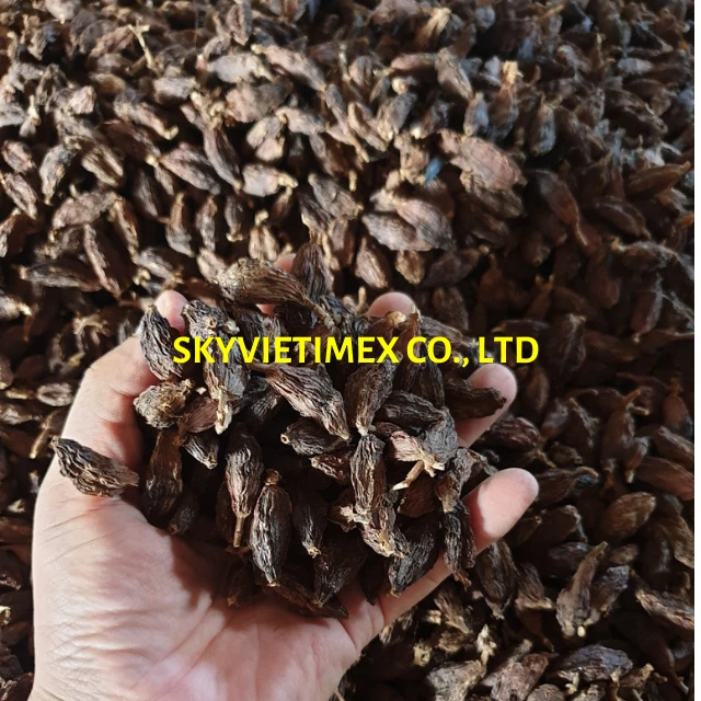 Vietnamese Wholesaler High Quality Aromatic Dried Whole Black Cardamom/  Whatsapp +84964672086