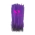 Import wholesale 35-40cm dyed colorful cheap pheasant feathers from China