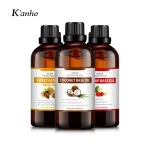 Wholesale Carrier Oil 100% Organic Pure Coconut Jojoba Sweet Almond Argan Olive Roseship Oil 100ml Base Oil