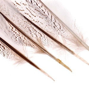 Wholesale cheap natural 8-80cm Sliver Pheasant Feather