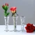 Wholesale Competitive Price, New Design and High Quality Glass Bottle Flower Vase