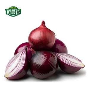 Wholesale Fresh Onion Red Onion Export Price