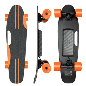 Wholesale Small Fish Plate Boosted Electric Skate Board With Four Wheel